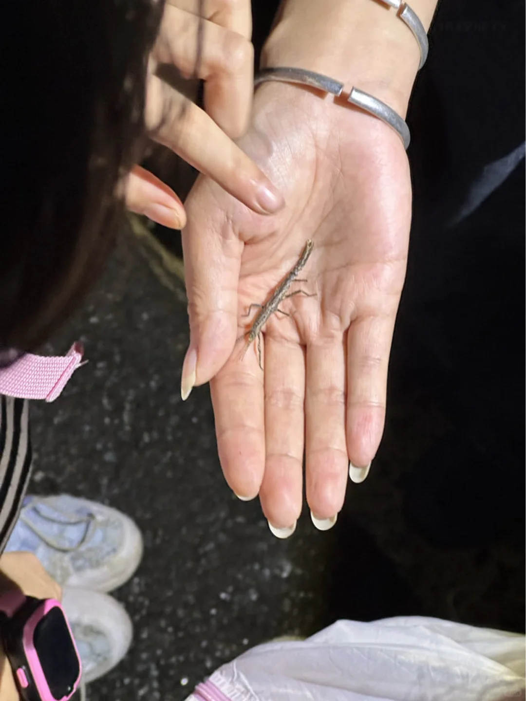 我都不敢想！国庆带攻略去西双版纳有多爽‼