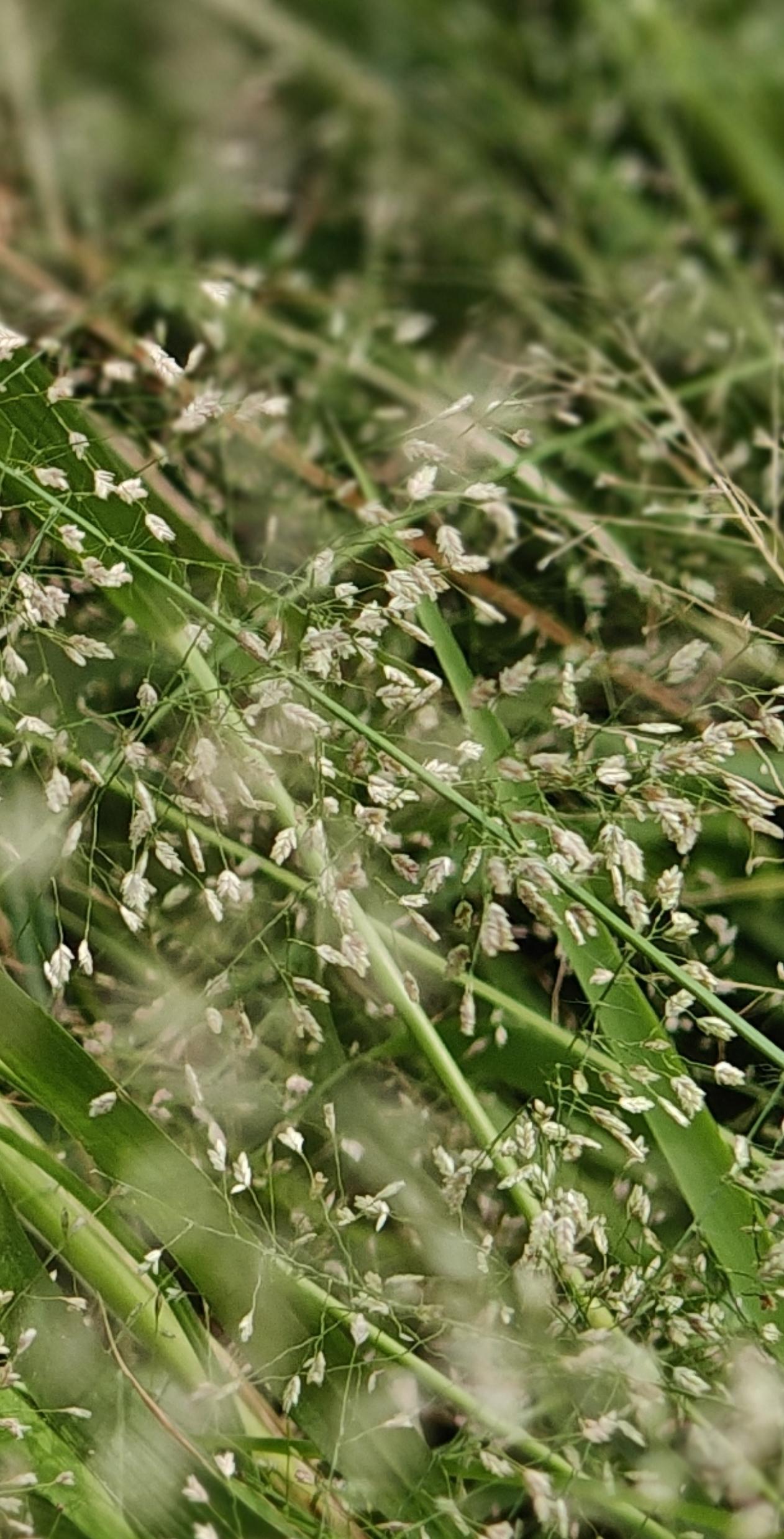 我看了标题竟然点了个赞，有问题吗？