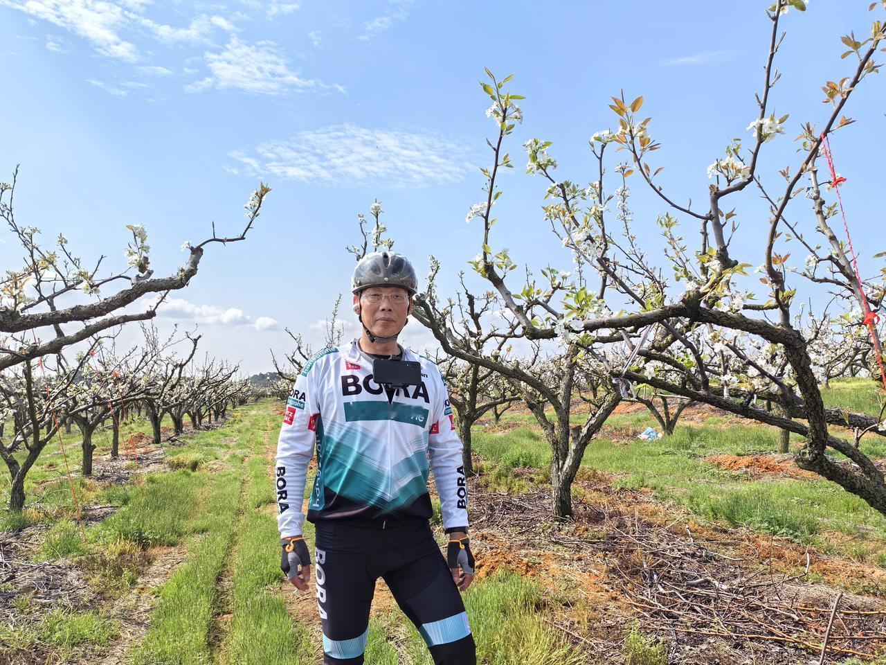 我们就这样融入春天
梨花万树，只摘一枝
怜香惜玉
真的，春天只适合喜欢