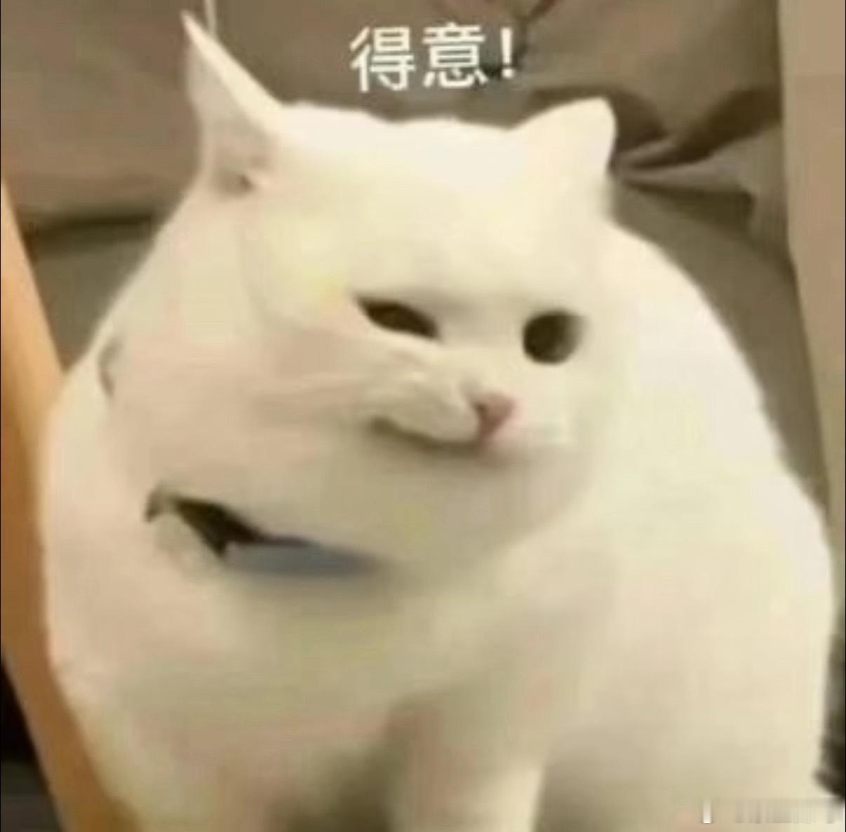 丁禹兮上声乐课一想到我担长得那么帅唱歌那么好听演技那么强人品那么顶 我的beli