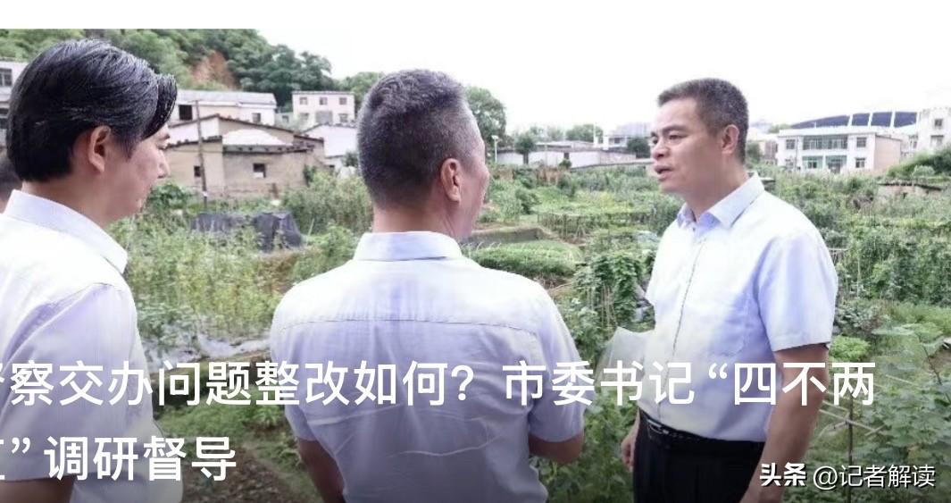 近日，株洲市委书记王建球采取“四不两直”方式，实地督导省生态环保督察回头看交办问