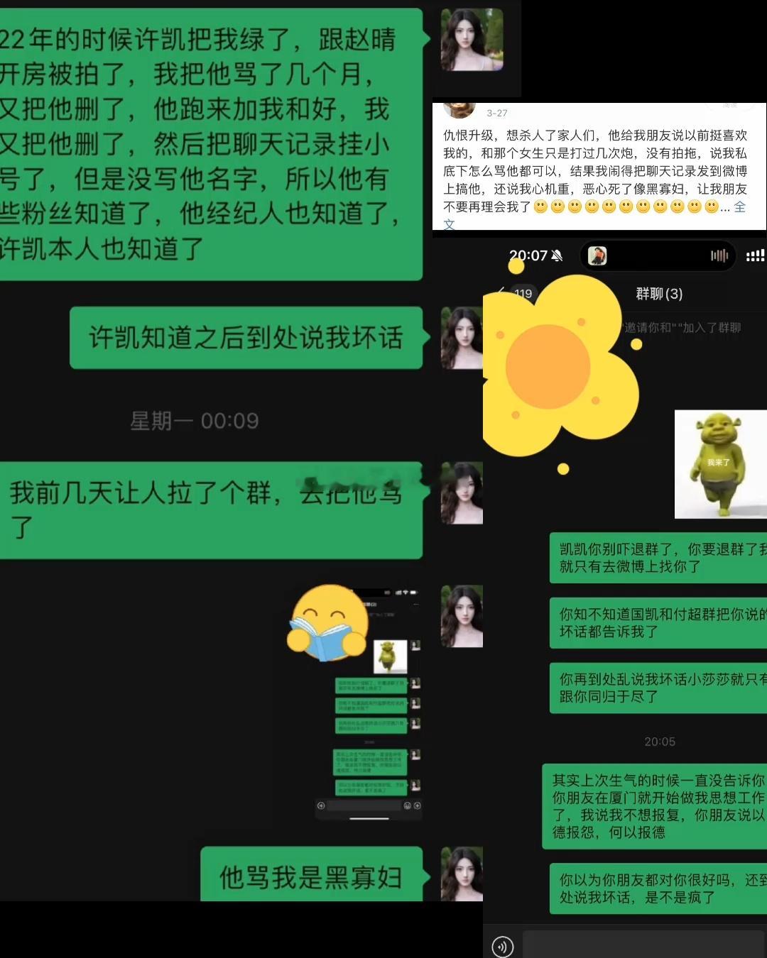 许荔莎发微信聊天记录，说自己骂了许凯几个月，结果后来，许凯还找她和好，但是她又把