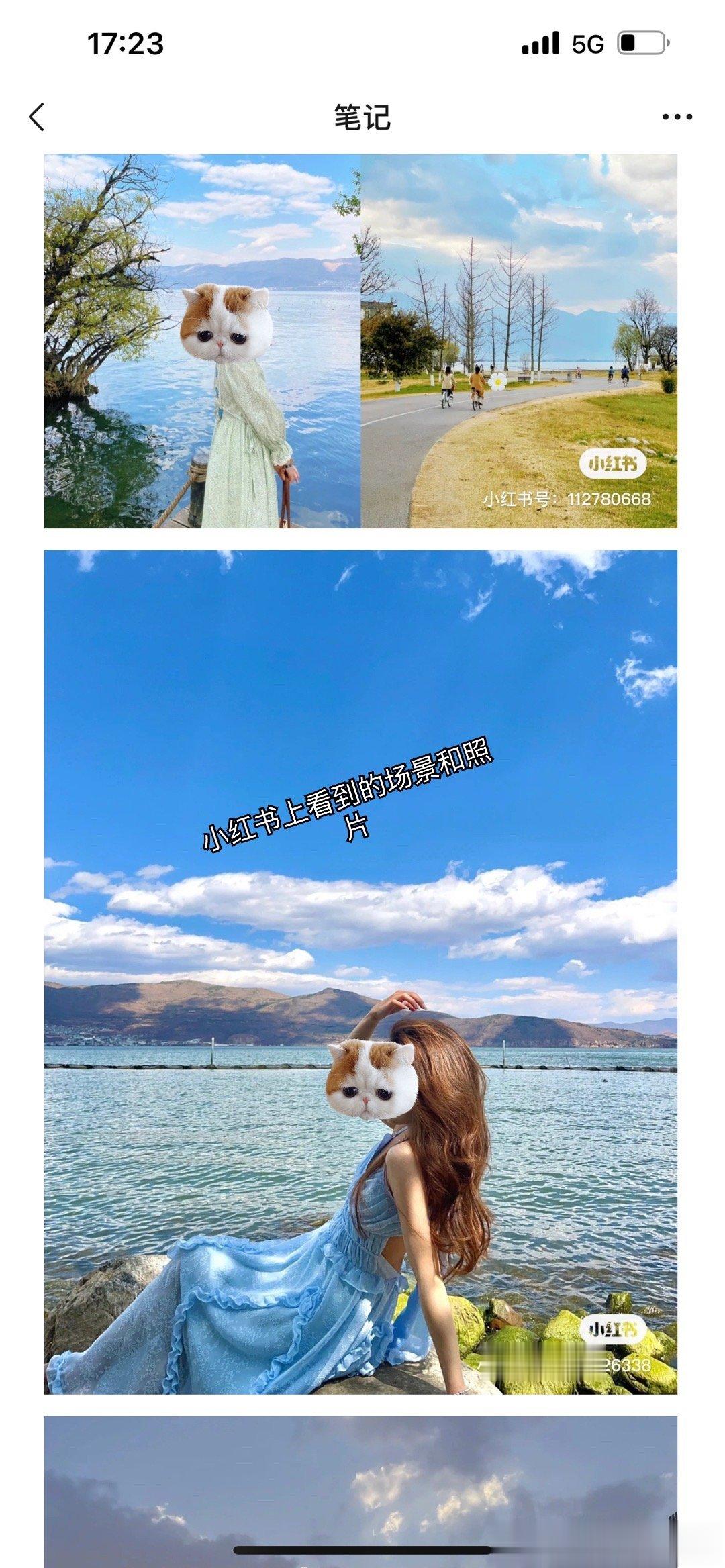 继续打卡洱海龙龛码头⛵️ 这次是很敬业的旅行哈哈 一路在打卡[偷笑]白衬衫也是2