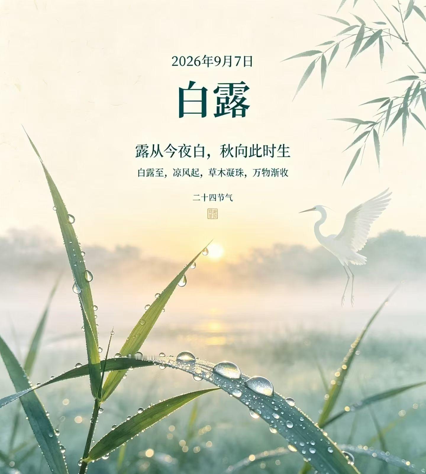 🍂白露至，秋意渐浓清风拂过，晨露凝光愿日子安然，岁岁皆安康✨白露 ​​​