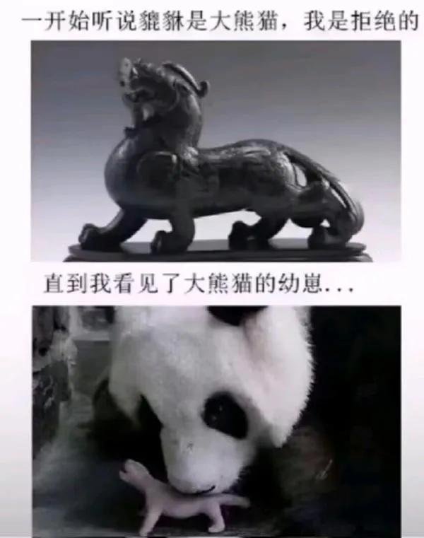 听说貔貅是大熊猫？[哆啦A梦害怕] ​​​