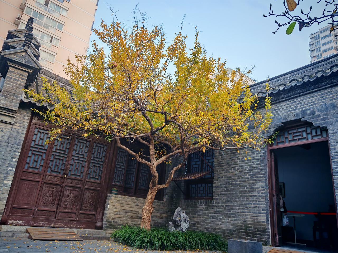 冬日午后，公园打卡