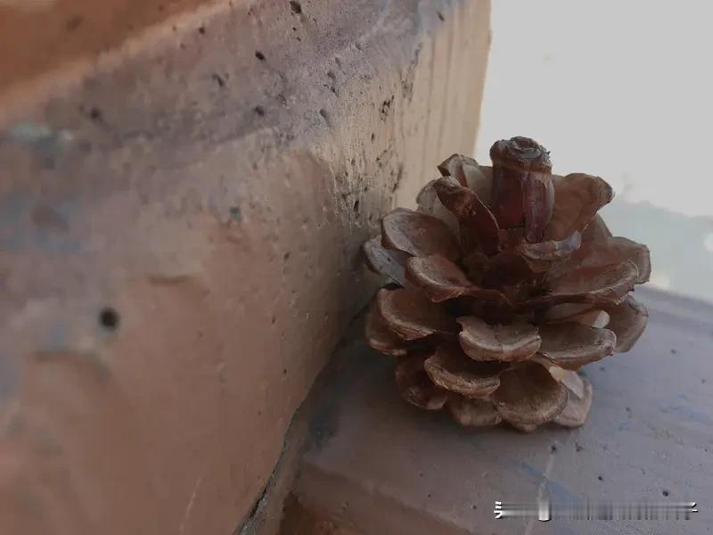 用成语形容“没文化真可怕”，那“胸无点墨”再合适不过了。这种人肚子里没墨水，遇到