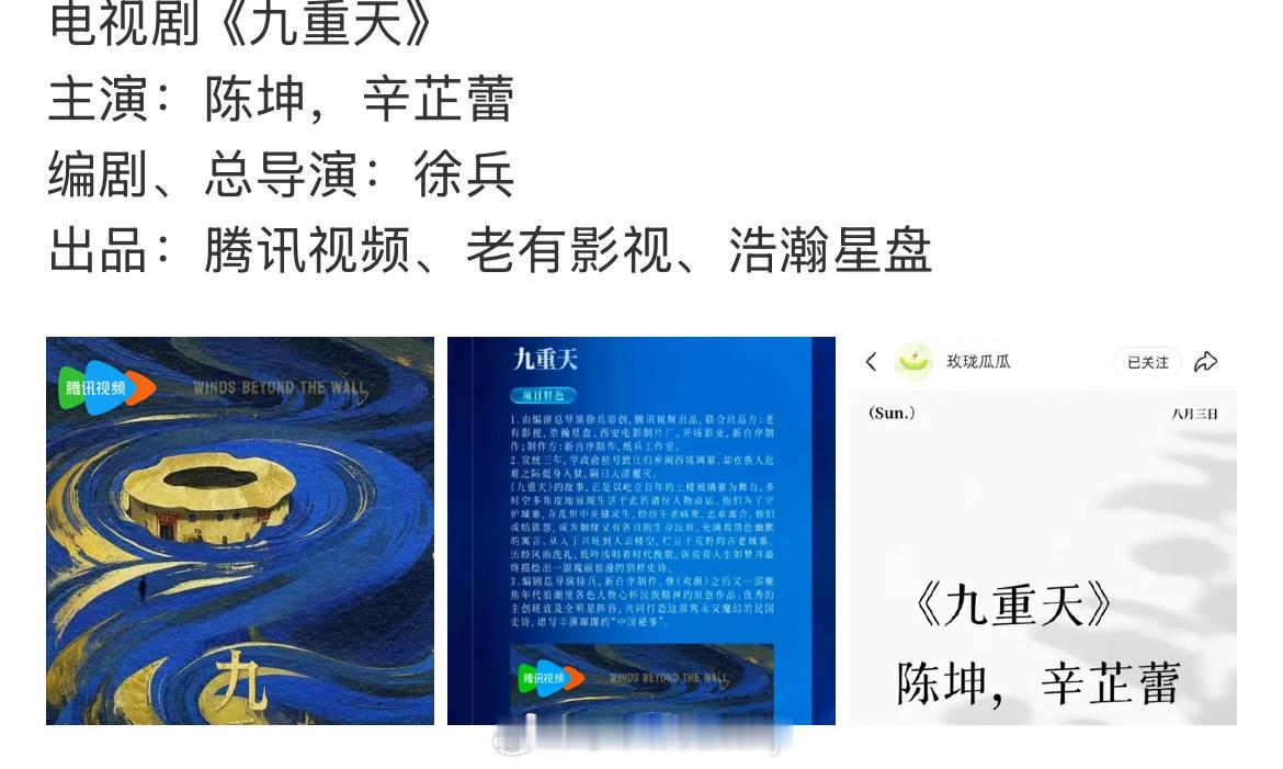🍉电视剧《九重天》主演：陈坤，辛芷蕾 ​​​