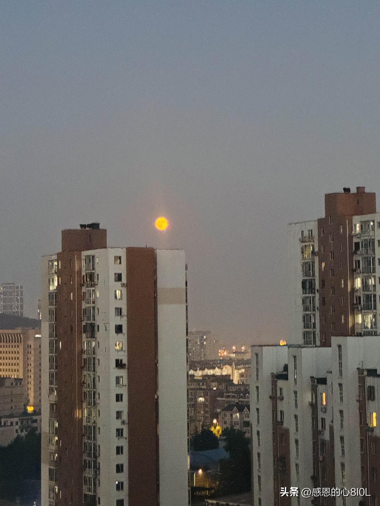 我喜欢沈阳
我1965年1月出生，属龙。

我出生的辽宁省的抚顺市，距离沈阳市4