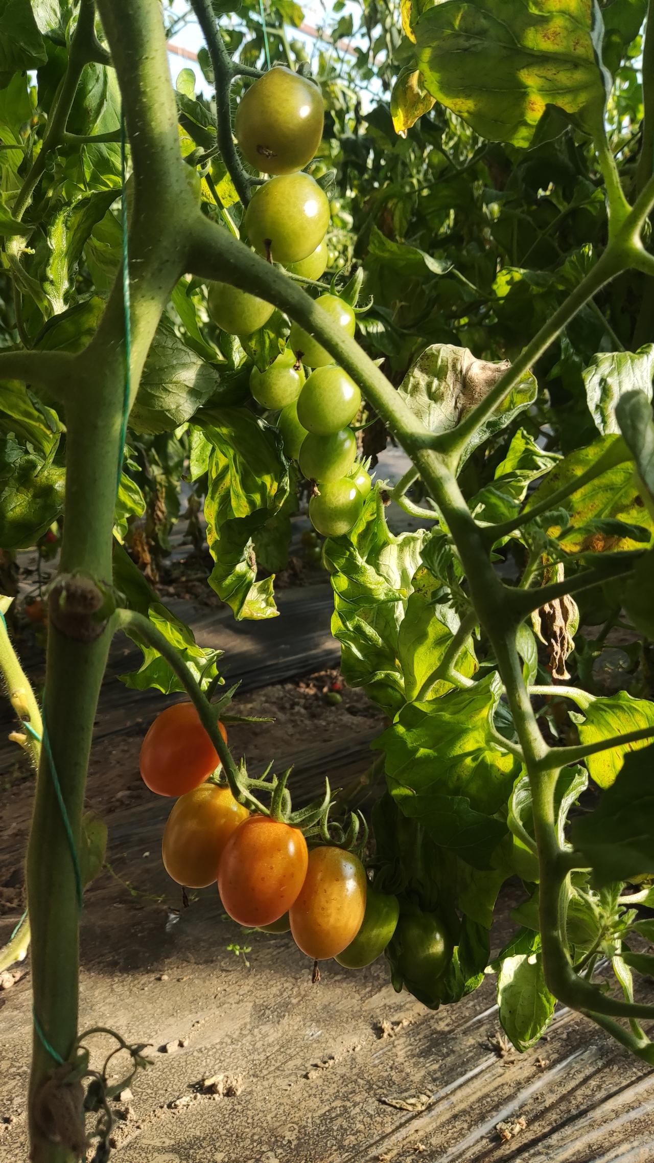 晒图笔记大赛阳光明媚～