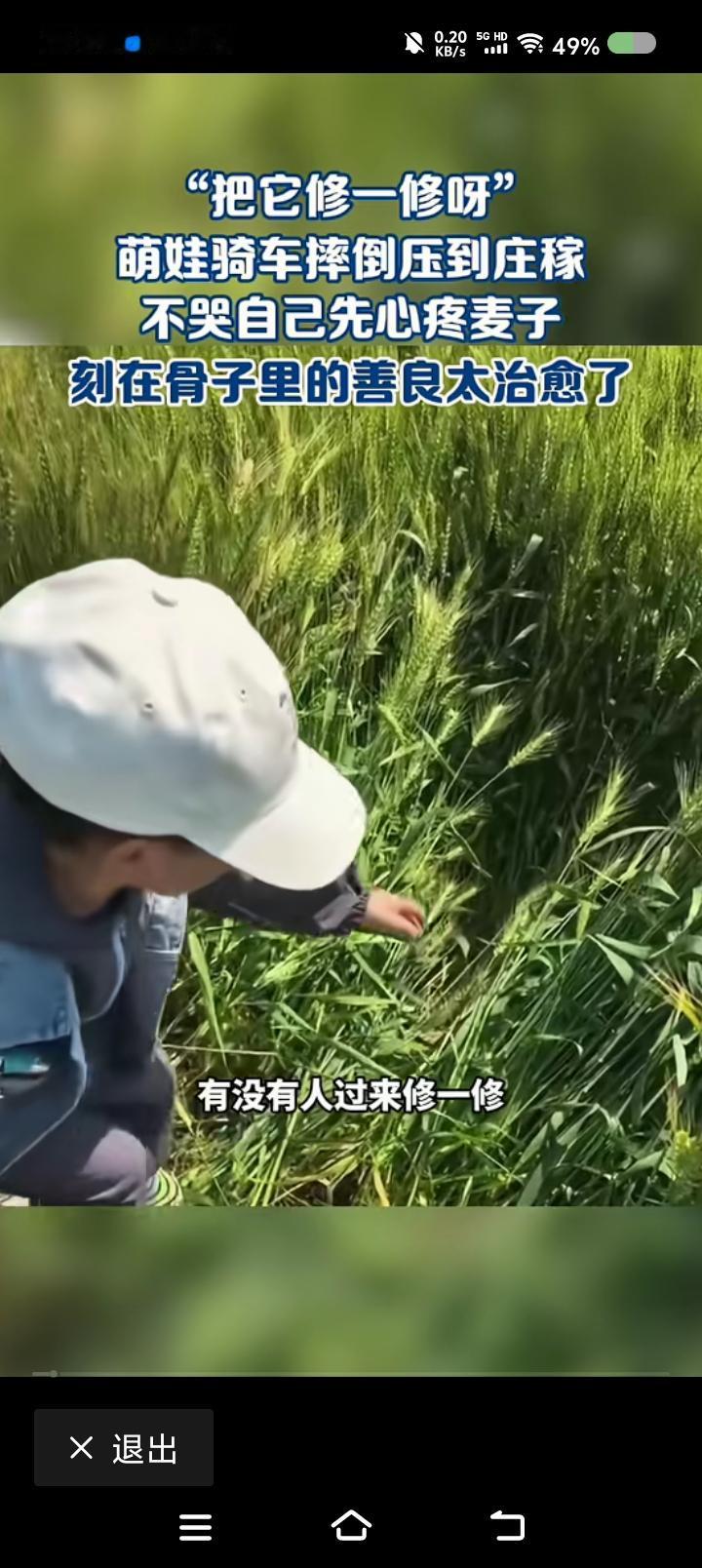 大人智慧不足？——
据报道，一男孩骑车，摔在小麦地里，压坏了麦子。男孩哭了：“得