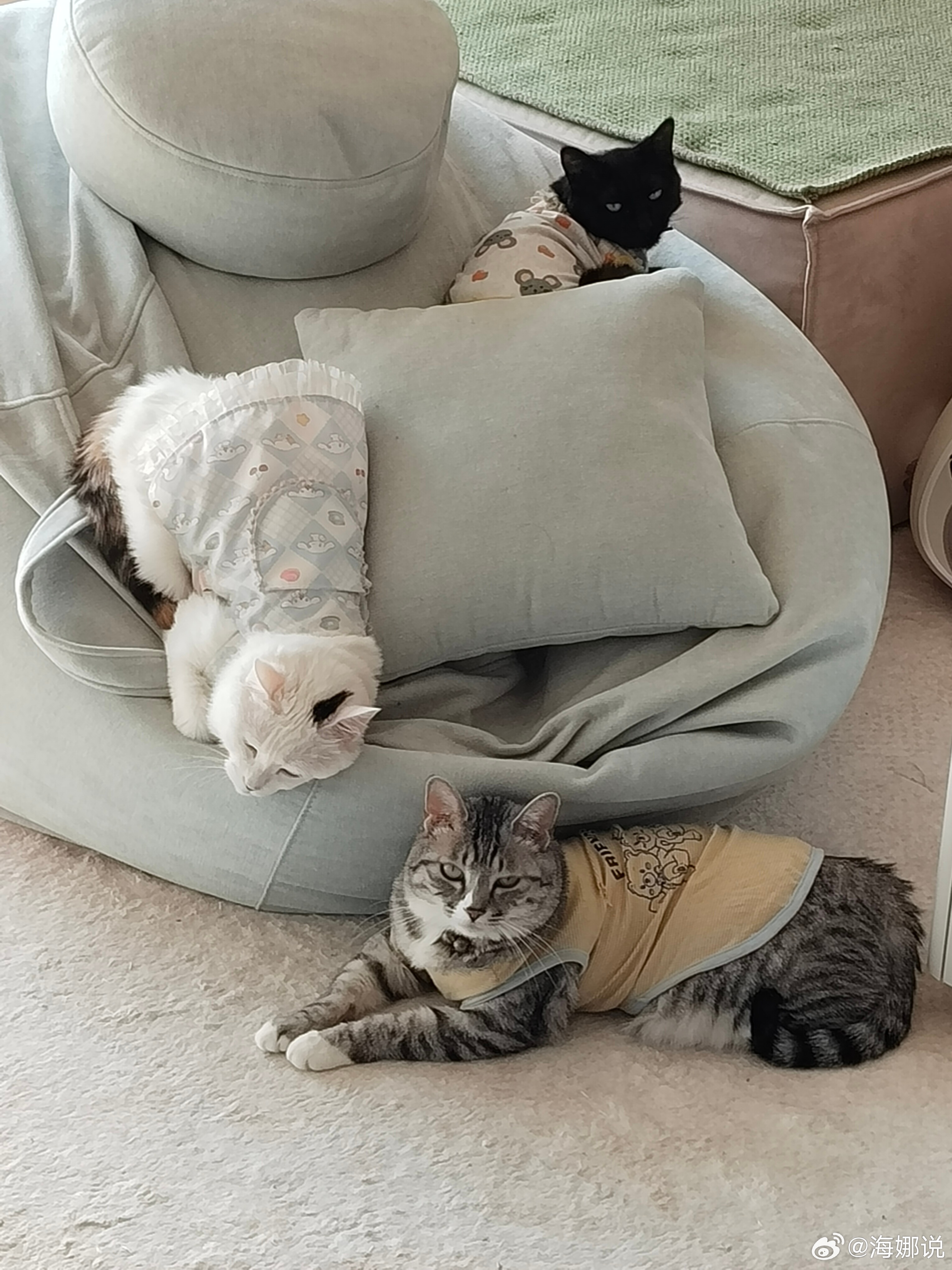 缘分，是一场暴雨，纵使躲在屋子里，也迟早会被淋湿。 