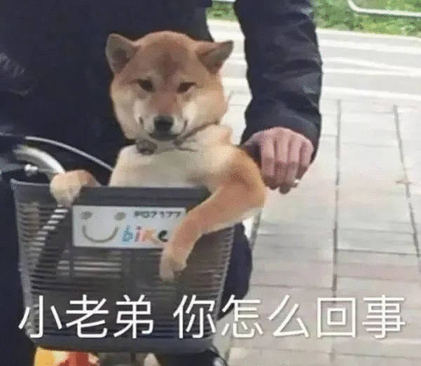 其实有时候不太明白为啥要用编号这个来皂💊。进来就有编号这挺好的，名字太长了，人