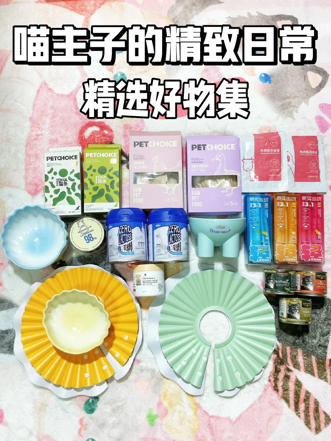 🐱喵主子的精致日常｜精选好物集