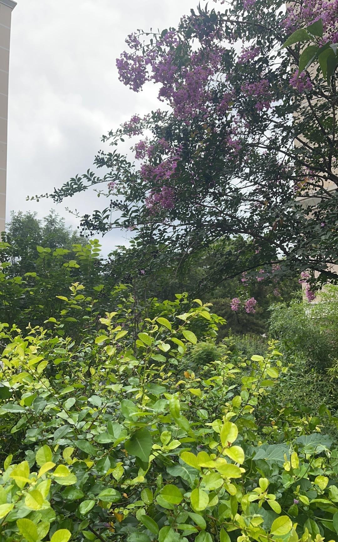 快讯！快讯！
美国方面突然宣布了新一轮对乌军援，外界解读这次口径可能升级，但细节