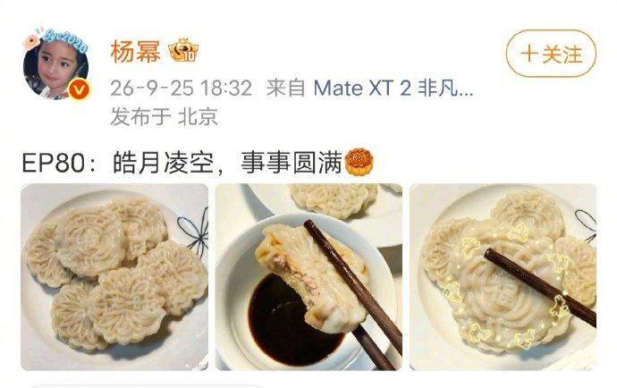 这东西多少钱一个？
杨幂吃的月饼形状的饺子，还是肉馅的
我是第一次见这样的饺子，