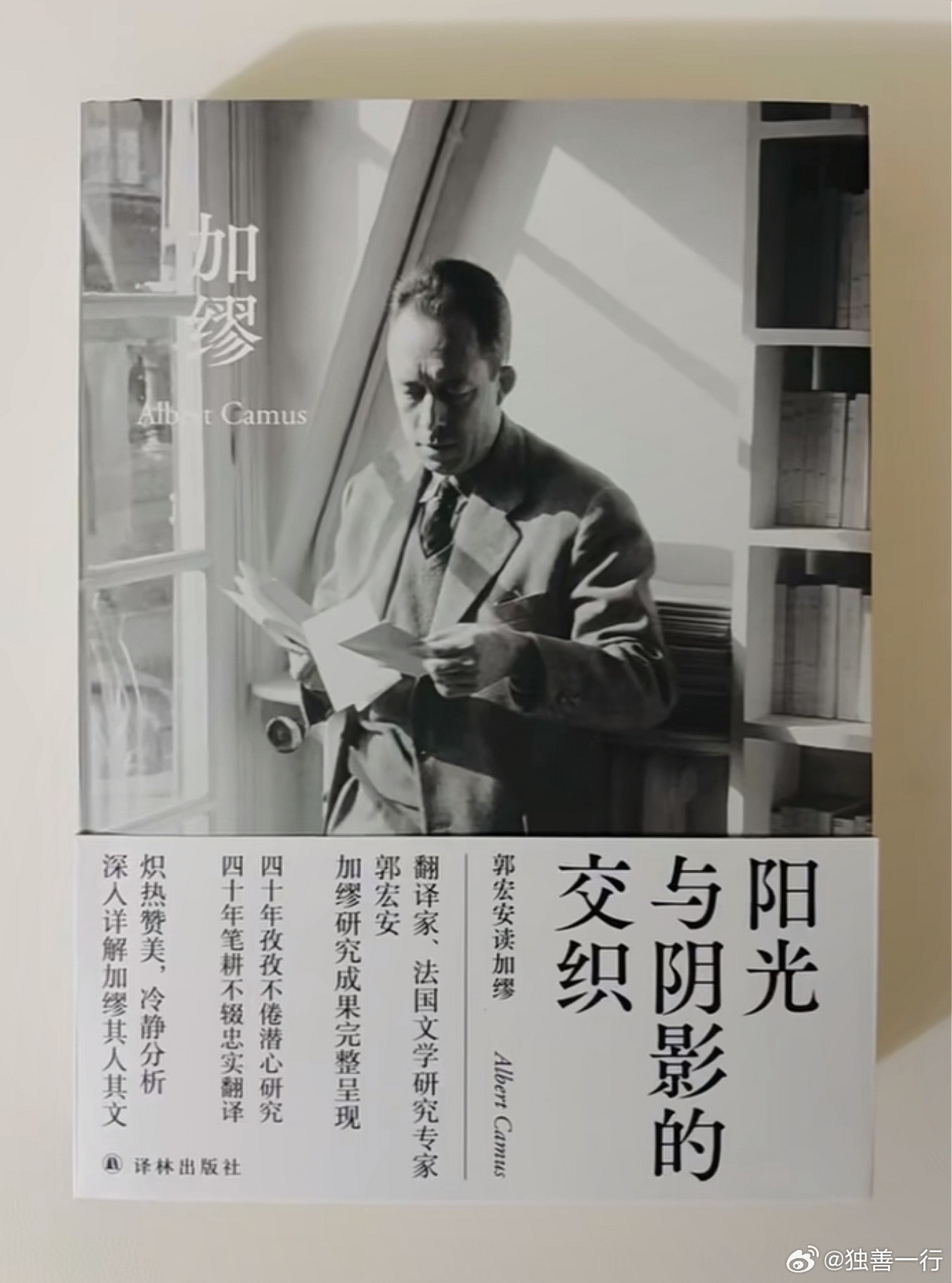 影子、就是另外一个自己。分享一本独具魅力的解读文学、来自郭宏安的《阳光与阴影的交