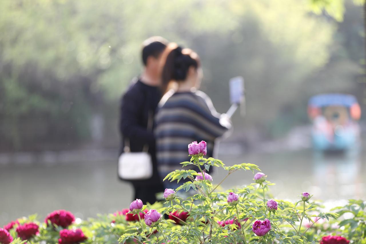 无意闯入镜头里的瞬间

公园里牡丹盛开季节，迎来众多游客前来赏花，我也特意带上单