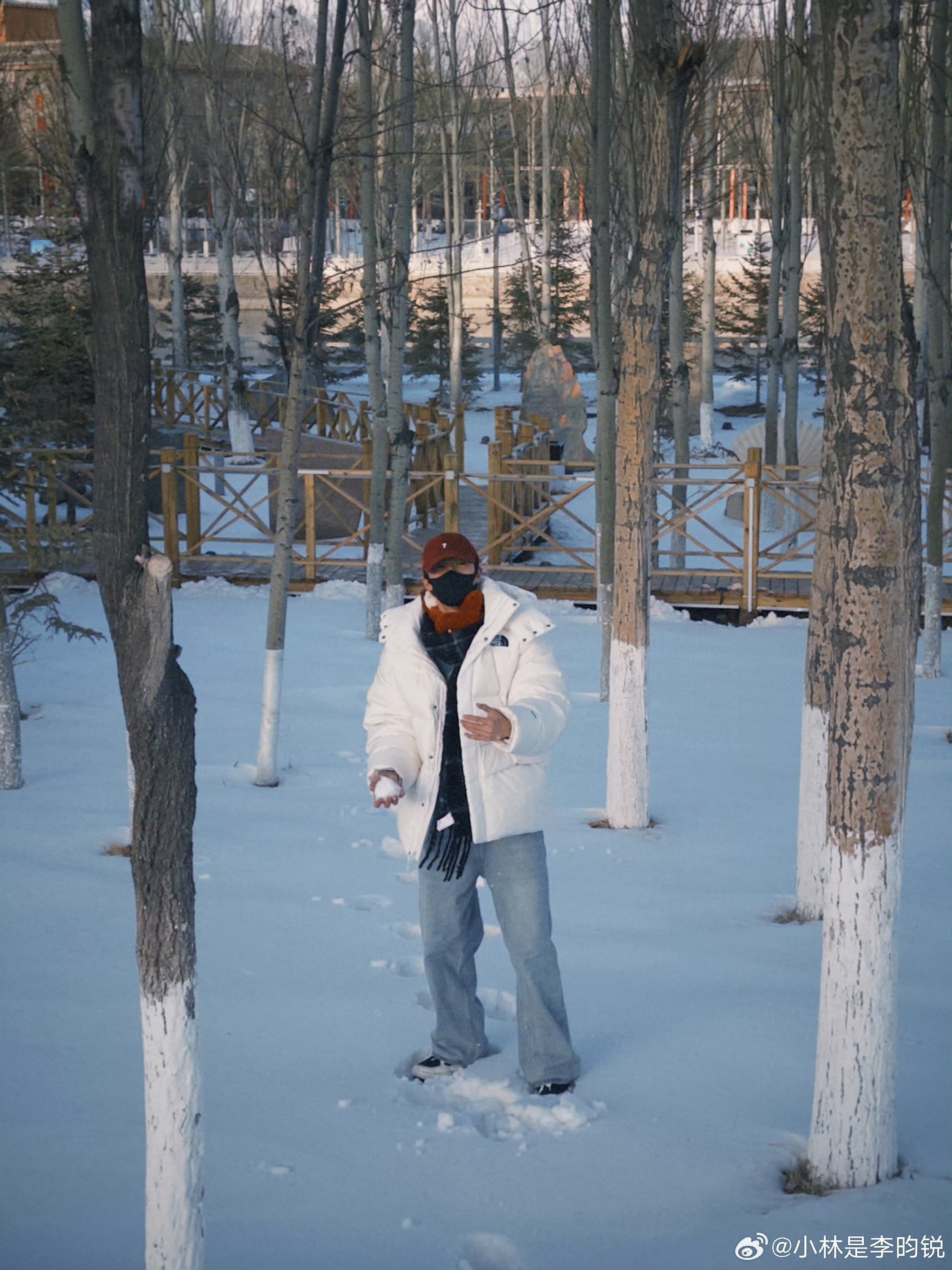 李昀锐文案图片有温差李昀锐雪地明信片李昀锐雪地明信片，好萌，喜欢😍 ​​​