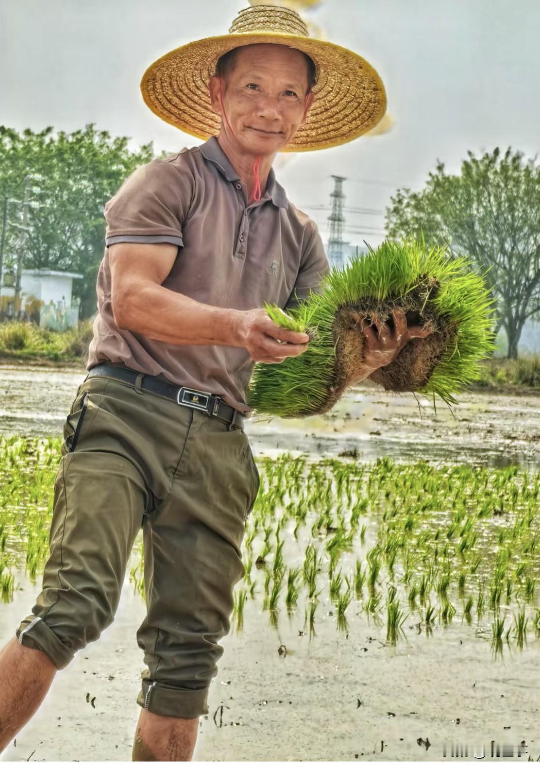劳动节，解决粮食为人民