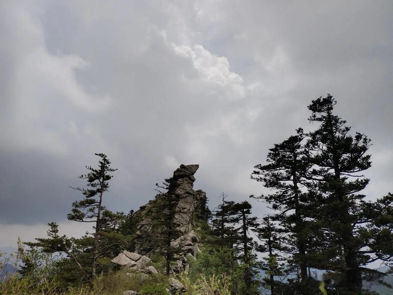 雪落四海九州