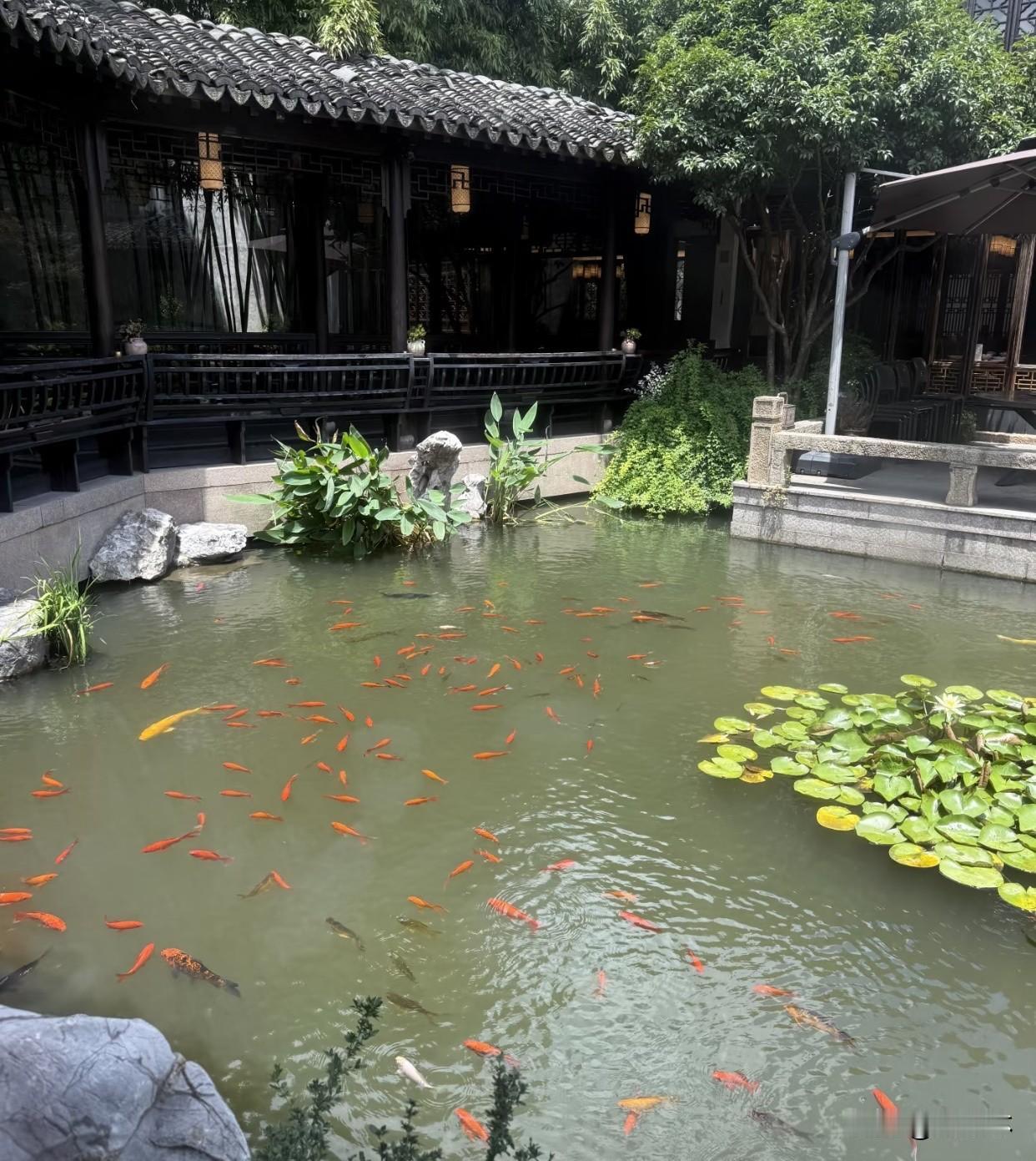 真心话茶局人的一生心里装着多少恩情，就会收获多少福气；心里积攒多少怨气，就要承受