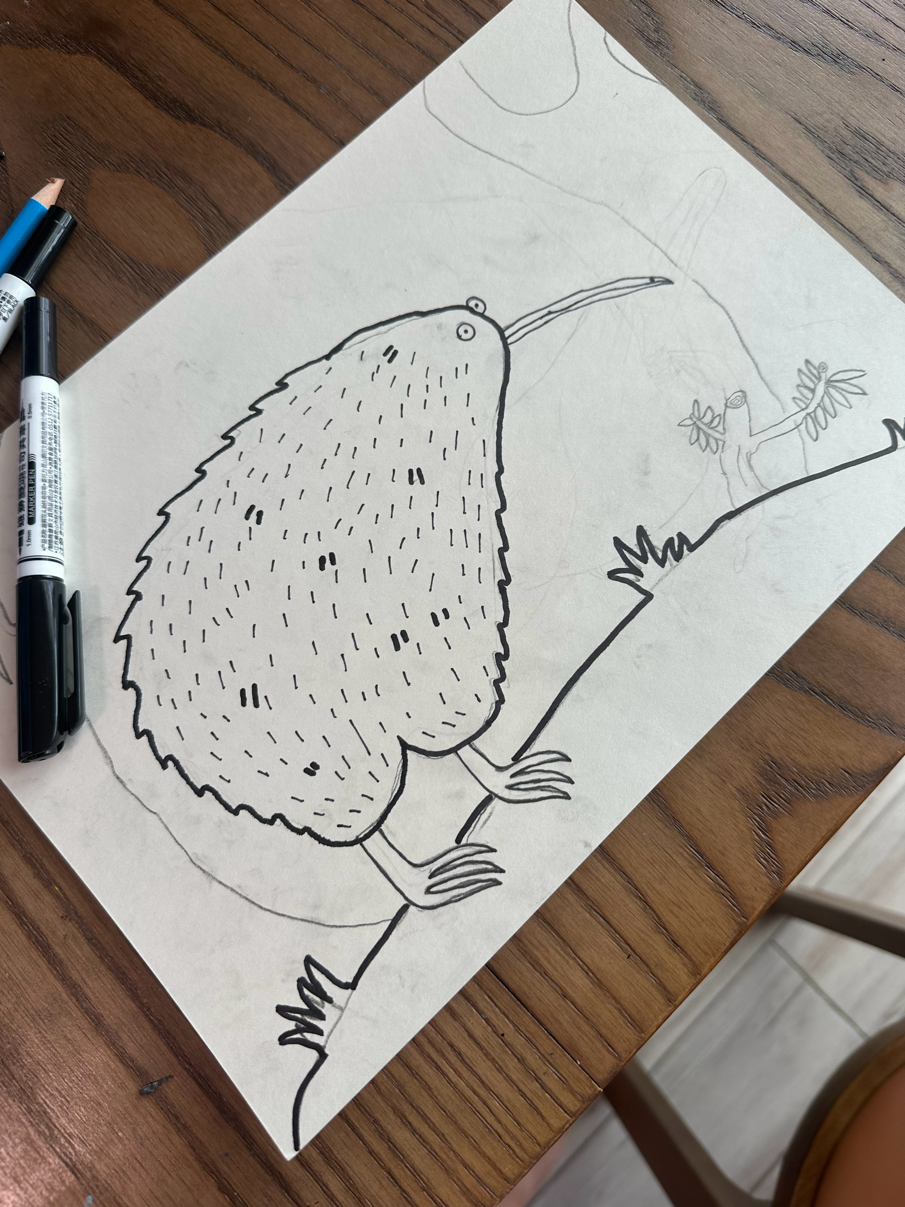 又开始一张，今天画的是几维鸟。源于昨晚小添问我受精鸡蛋是怎么受精的。我很老实地回