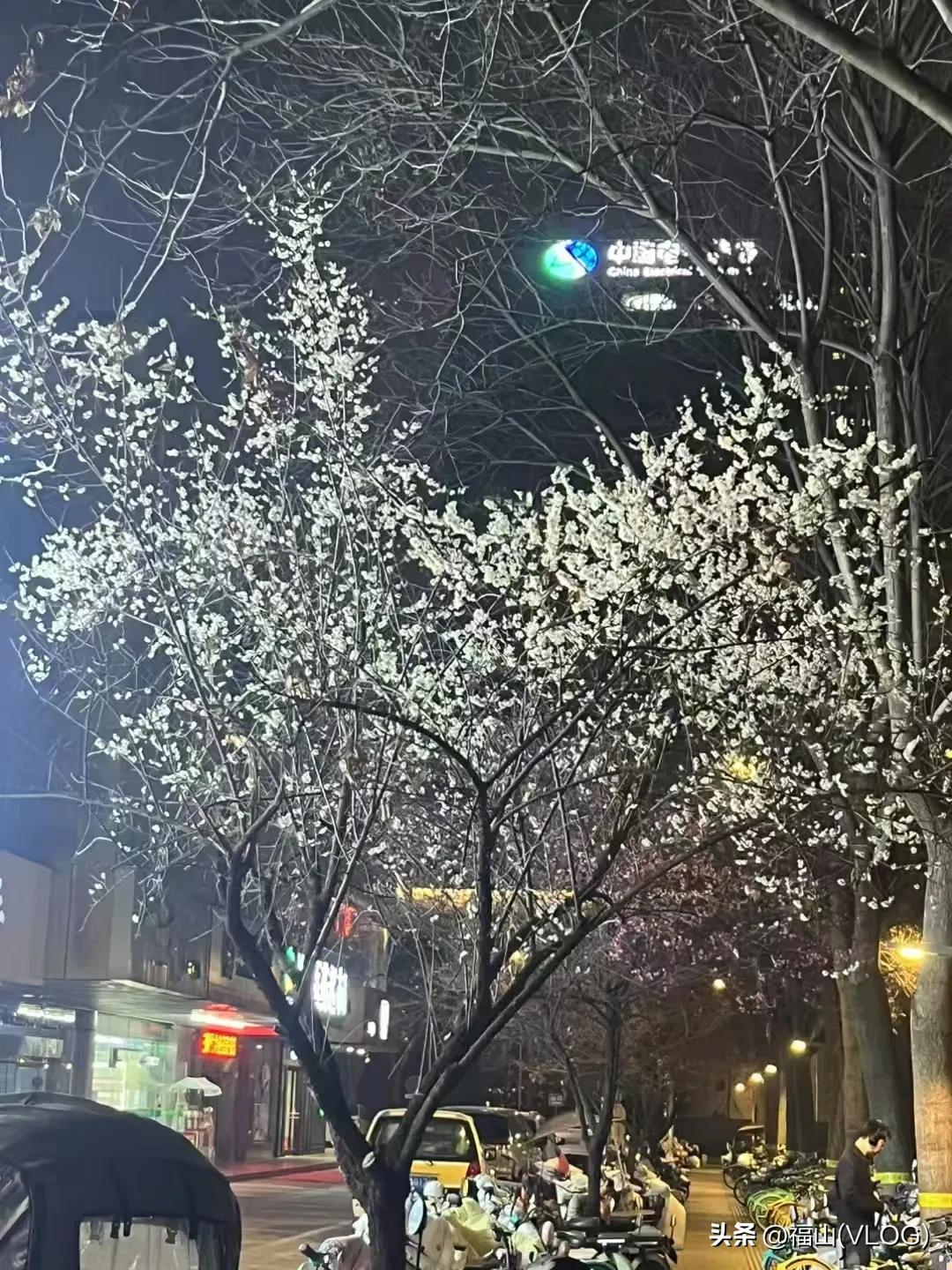 西安的桃花开了。实话实说，真的有点想西安了。2022年5月21号离开西安就再也没