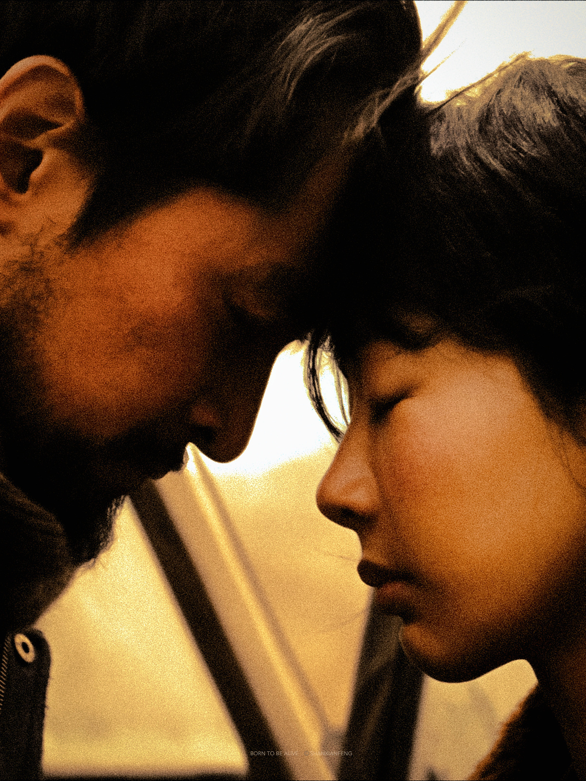 还有说生命树是预制得奖的那感情好啊，生命树就是要得奖的！横扫三大奖🥇才对的起这