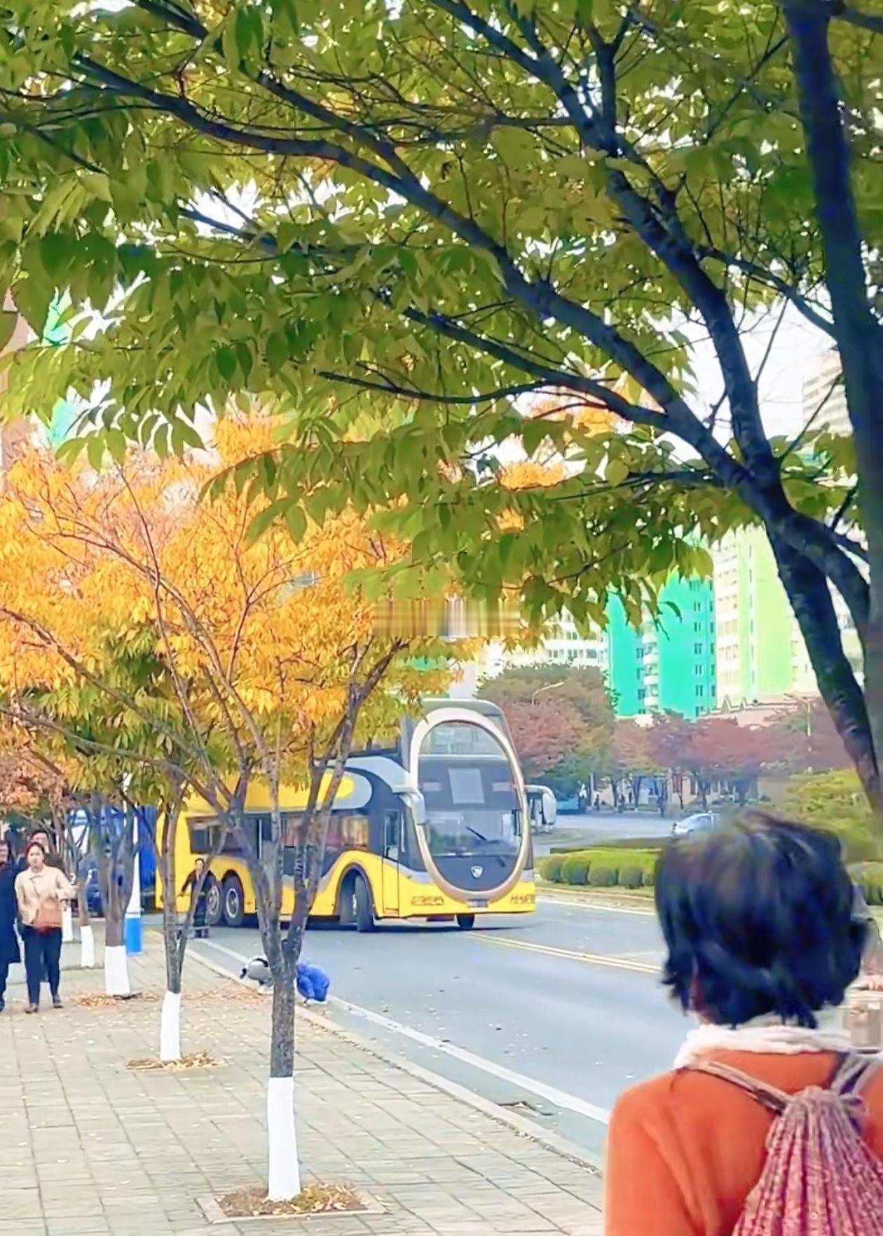 平壤街头的公交车，这前脸蛮有特色的。