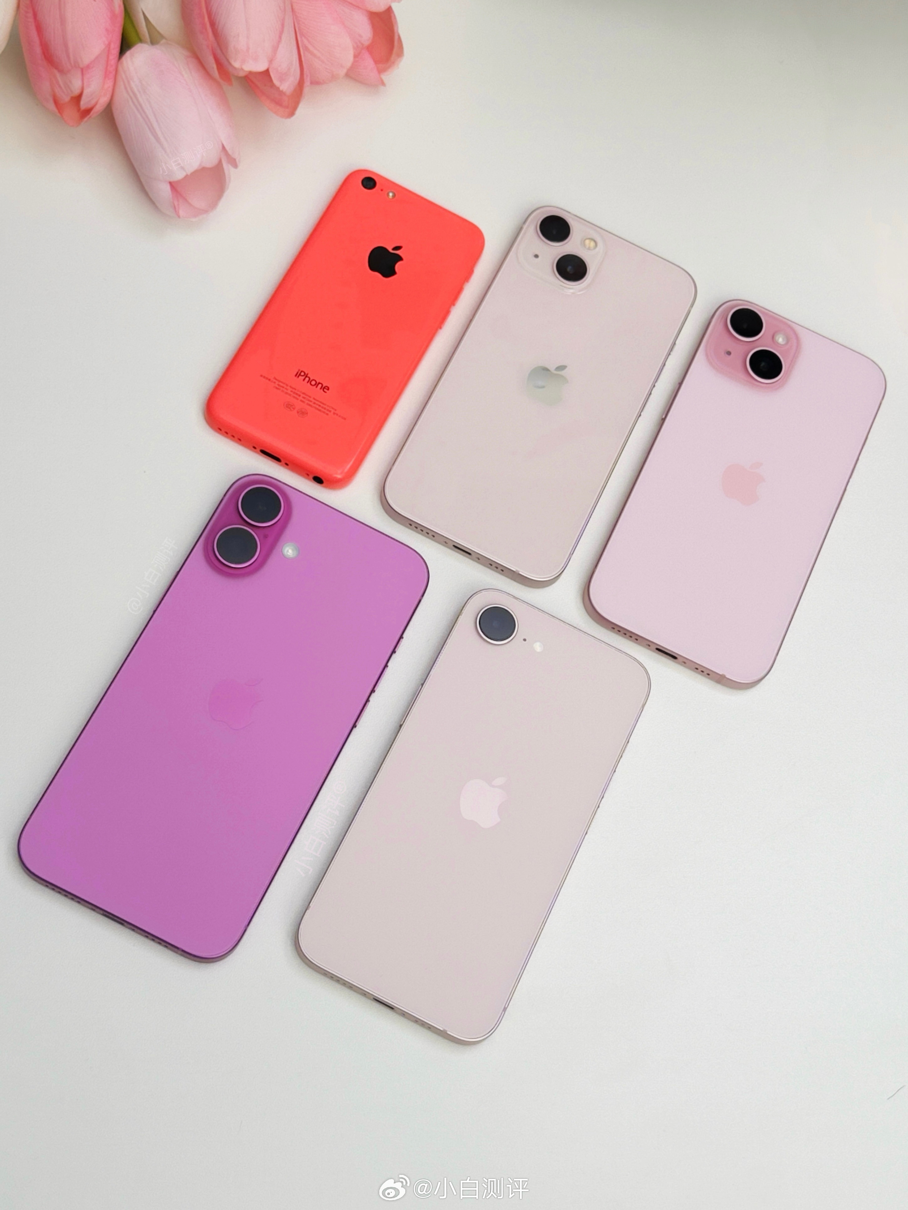 粉色iPhone合集 - 2013年 iPhone 5c粉色 - 2021年 i