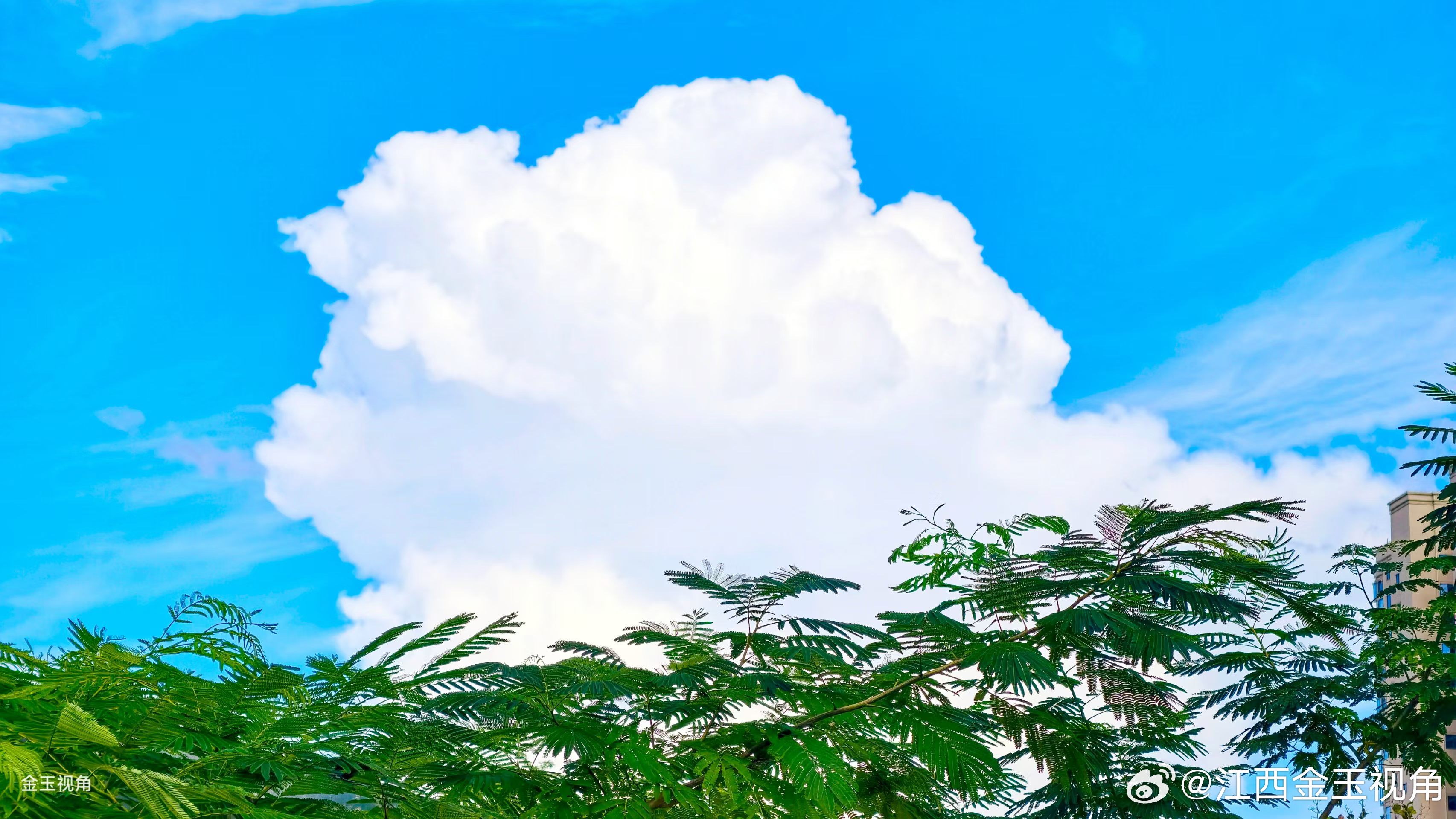 云是天空写得最潦草的情诗。☁️💌 上饶今天没有天花板，只有流动的浪漫放映机。 