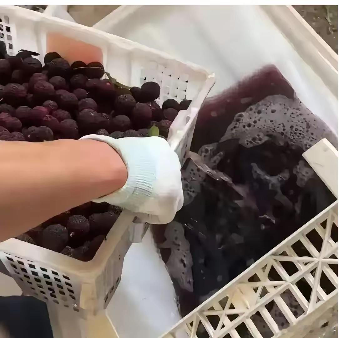 药水泡杨梅的黑心商户，说了一句特别精彩的话。他说：你要是曝光我，比我害人更可恶，