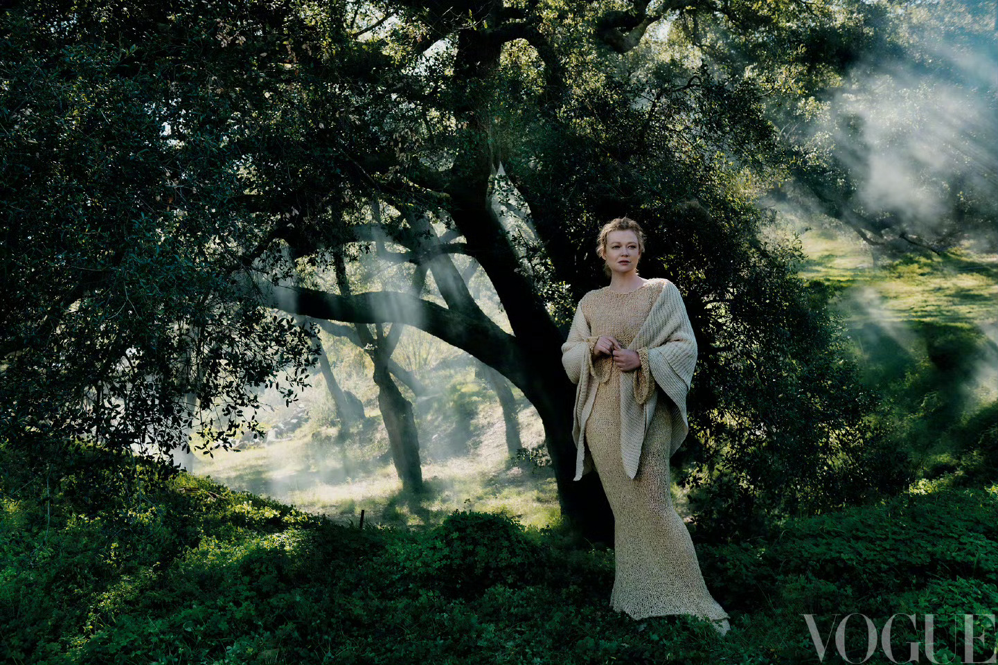 这两张大片的光滋养着万物大地 