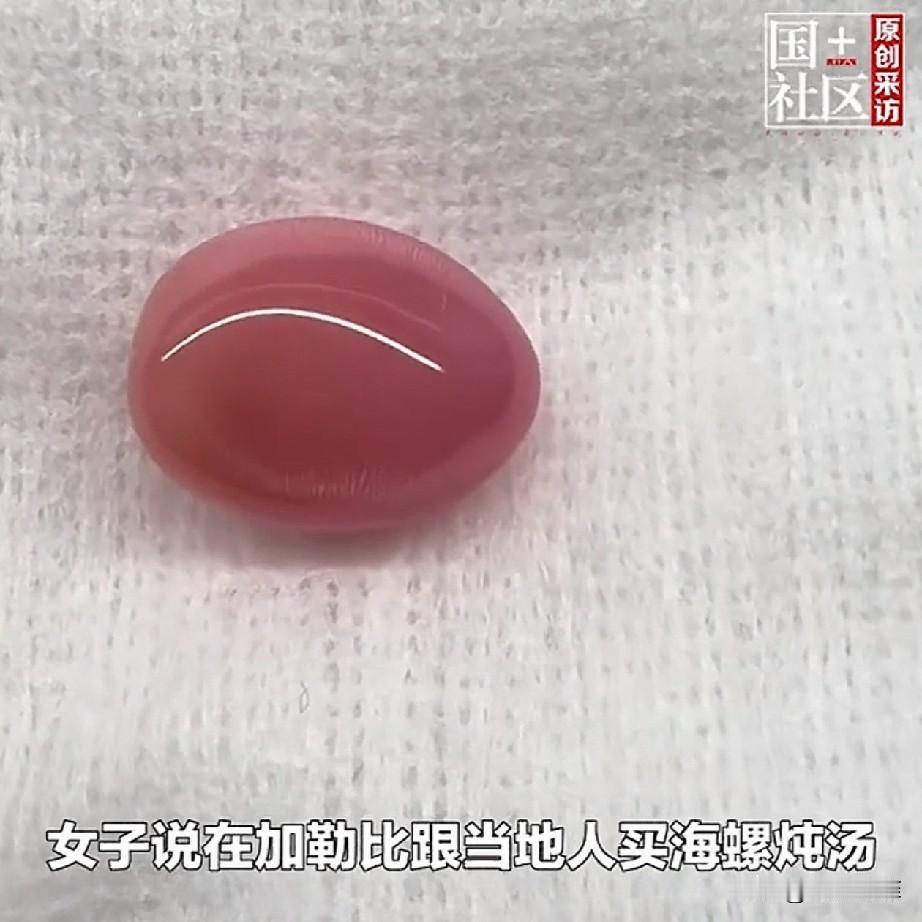 “意外之喜！”一女子在加勒比跟当地人买海螺，15美元一公斤，却意外开出粉色“海螺