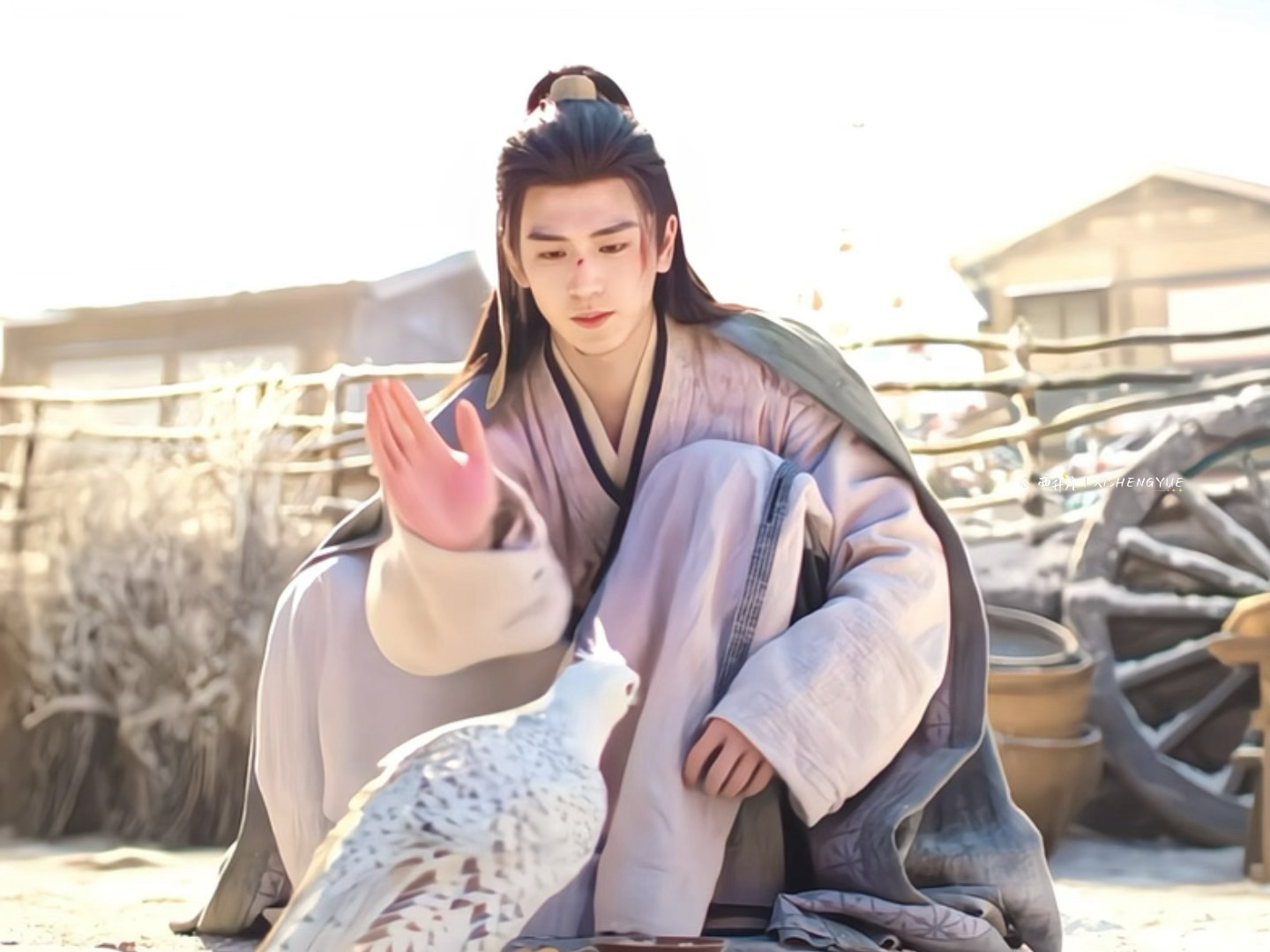 笑得不行、、从“笨鸟”到“蠢东西”🤣谢征被矛隼整的厌蠢症犯了骂得越来越难听了哈