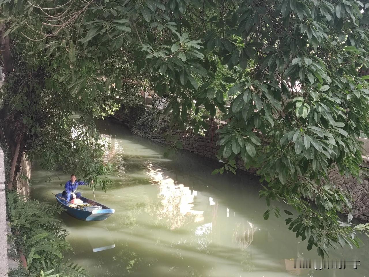 阳光明媚的天气里漫步于福州朱紫坊，安静的安泰河畔没的多余的游客，这里虽与三坊七巷