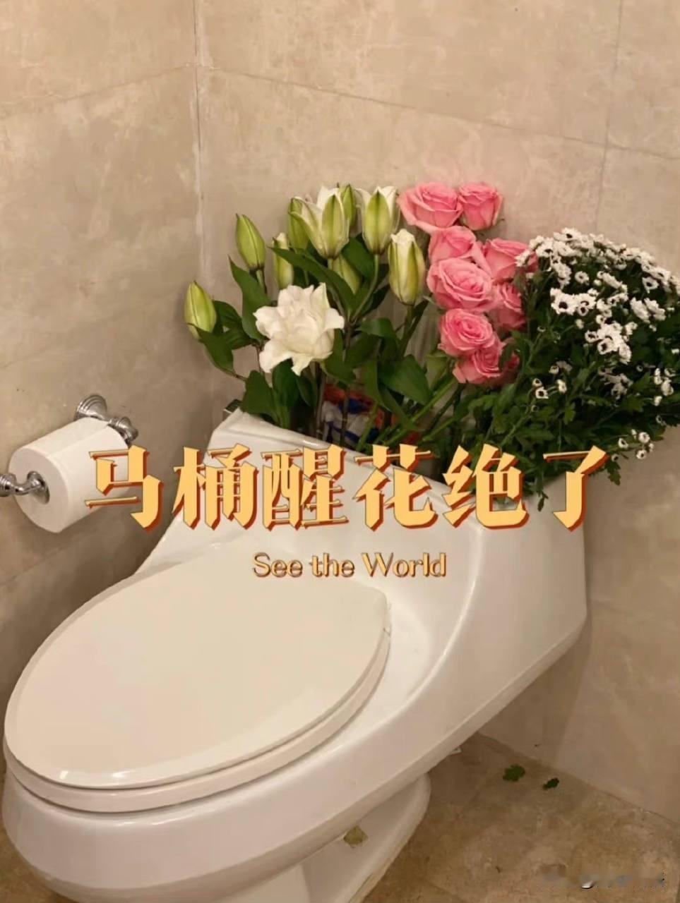 妙啊🚽
