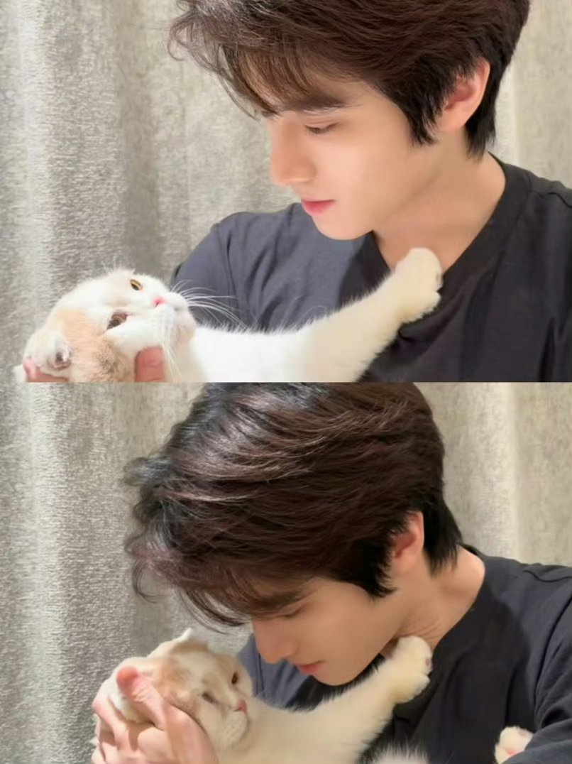 张康乐是真的很爱他的小猫🐱 