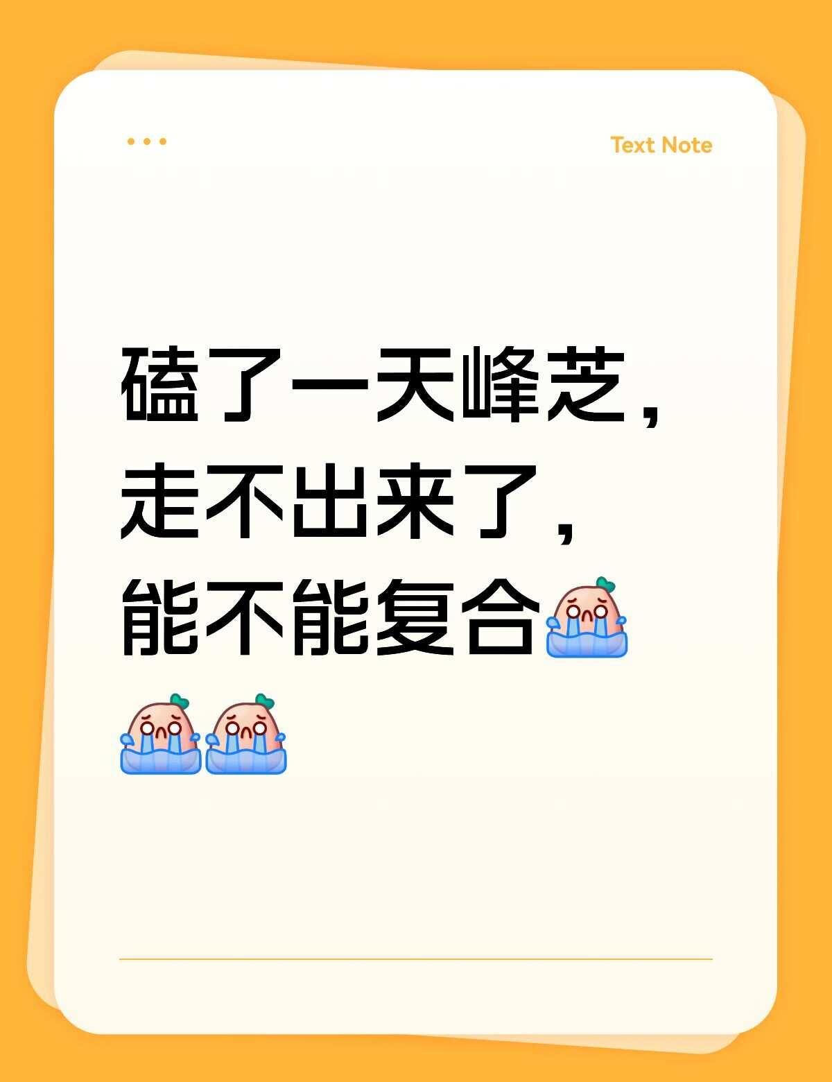 峰芝恋 谢霆锋张柏芝张柏芝谢霆锋