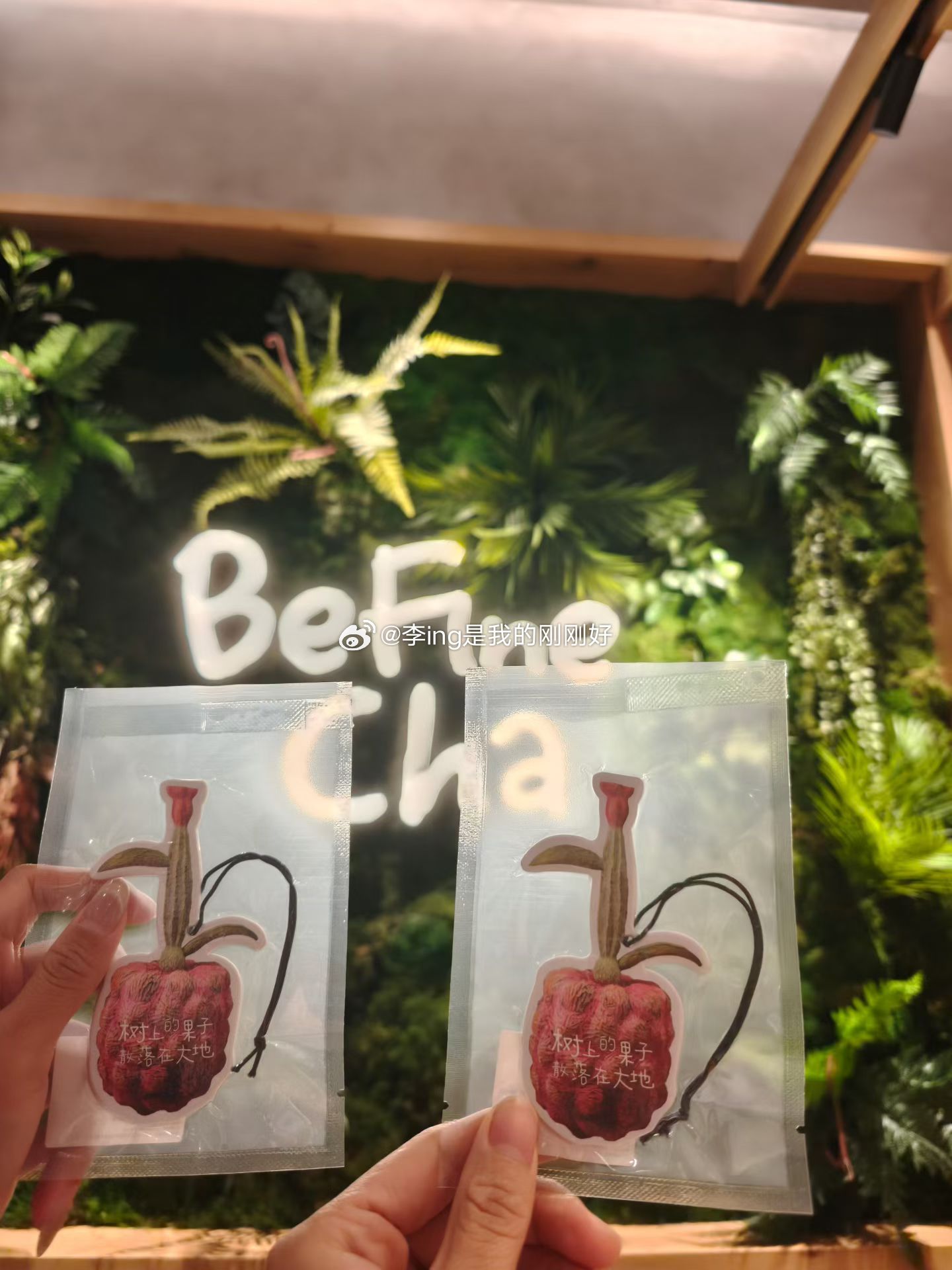 一个普通的周二  一个普通的下雨天🌧️ 30➕的徐女士和范女士在吃吃喝喝