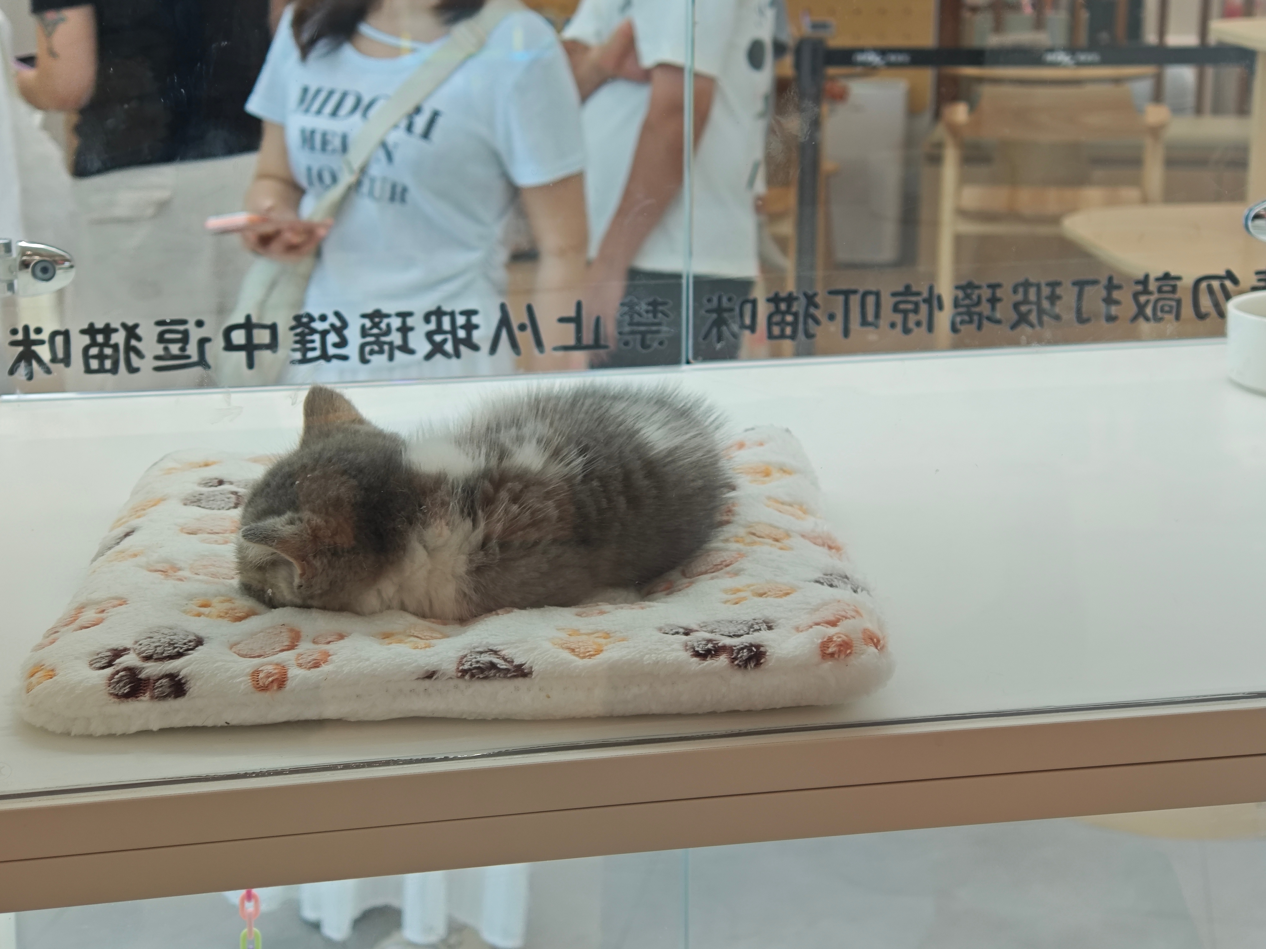还是没找回以前的感觉都怪工作把我产出能力削弱了！！ ​​​