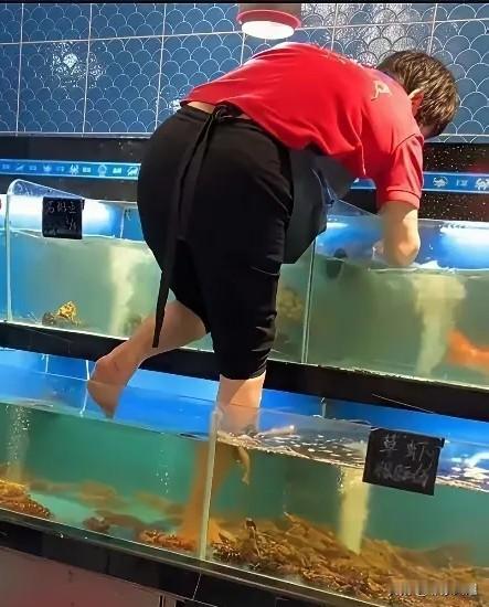 三亚女子赤脚清理海鲜柜被网曝，超市下架赔偿引争议：是合规还是小题大做？
 
海南