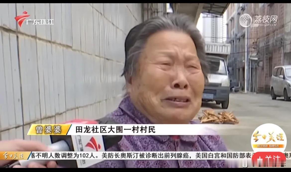 #80岁阿婆种了20年的树一夜被挖光#

某些人，成事不足 败事有余！

人家种