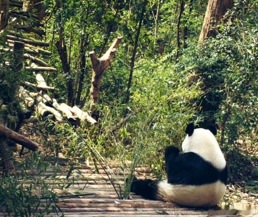 很想去走你走过的路，很想去吹你吹过的风！你走过的路空气中都会弥漫甜甜的草莓🍓味
