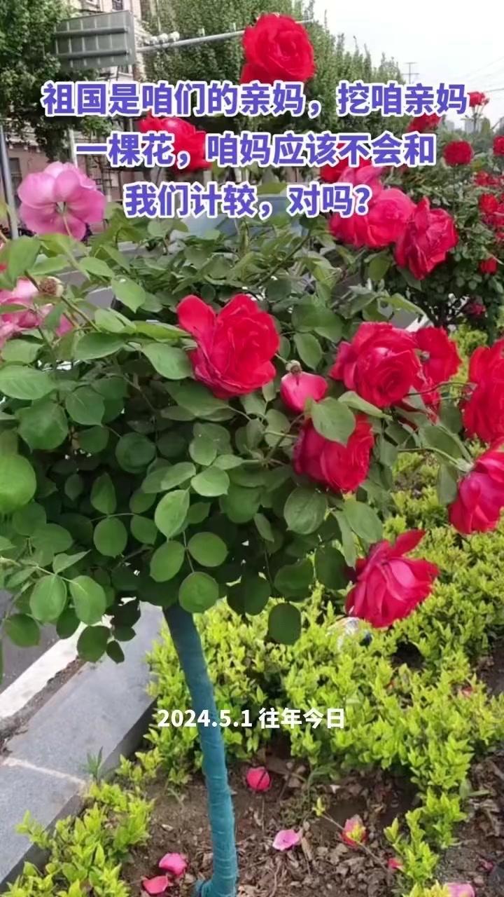 户外的风拂过脸颊，裹着泥土混着花草的香气，整个人都像被大自然轻轻抱住了～

🌿
