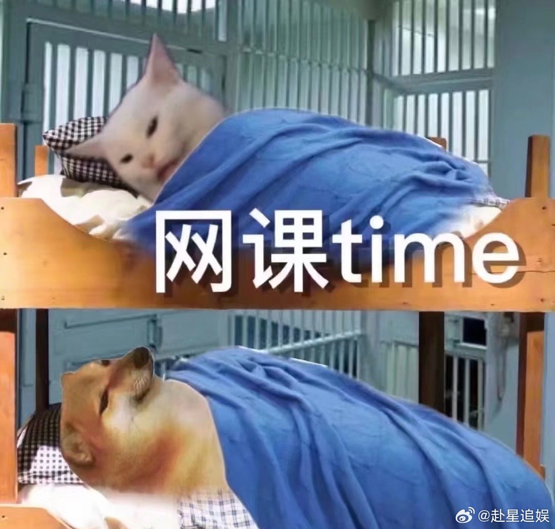 上网课一睁眼成了会议主持人脱口秀和Ta的朋友们 平凡的线上日常被搬上舞台，简单的