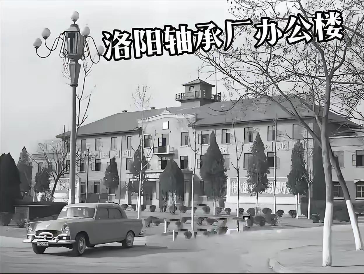 2006年，洛阳轴承厂快要倒闭了，就在这时，德国人舍弗勒集团找上门了，开口就要用