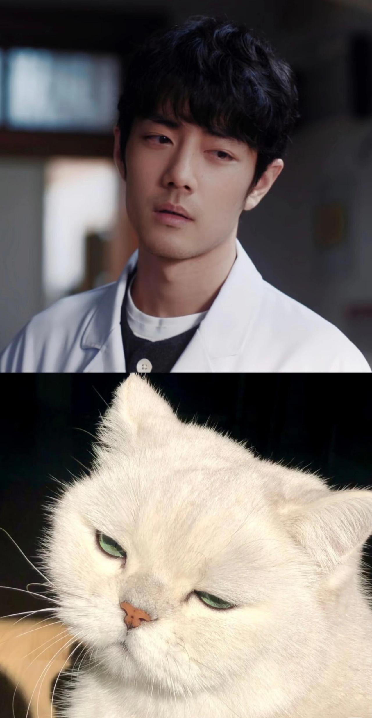 牌子猫🐱喵～