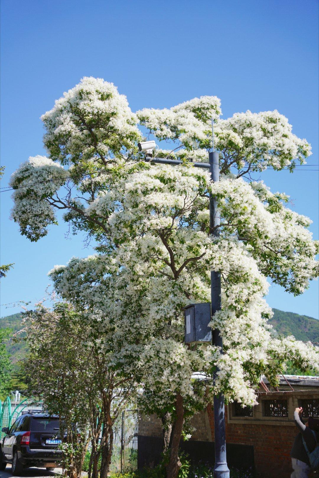 “一座牛首山，半部金陵春